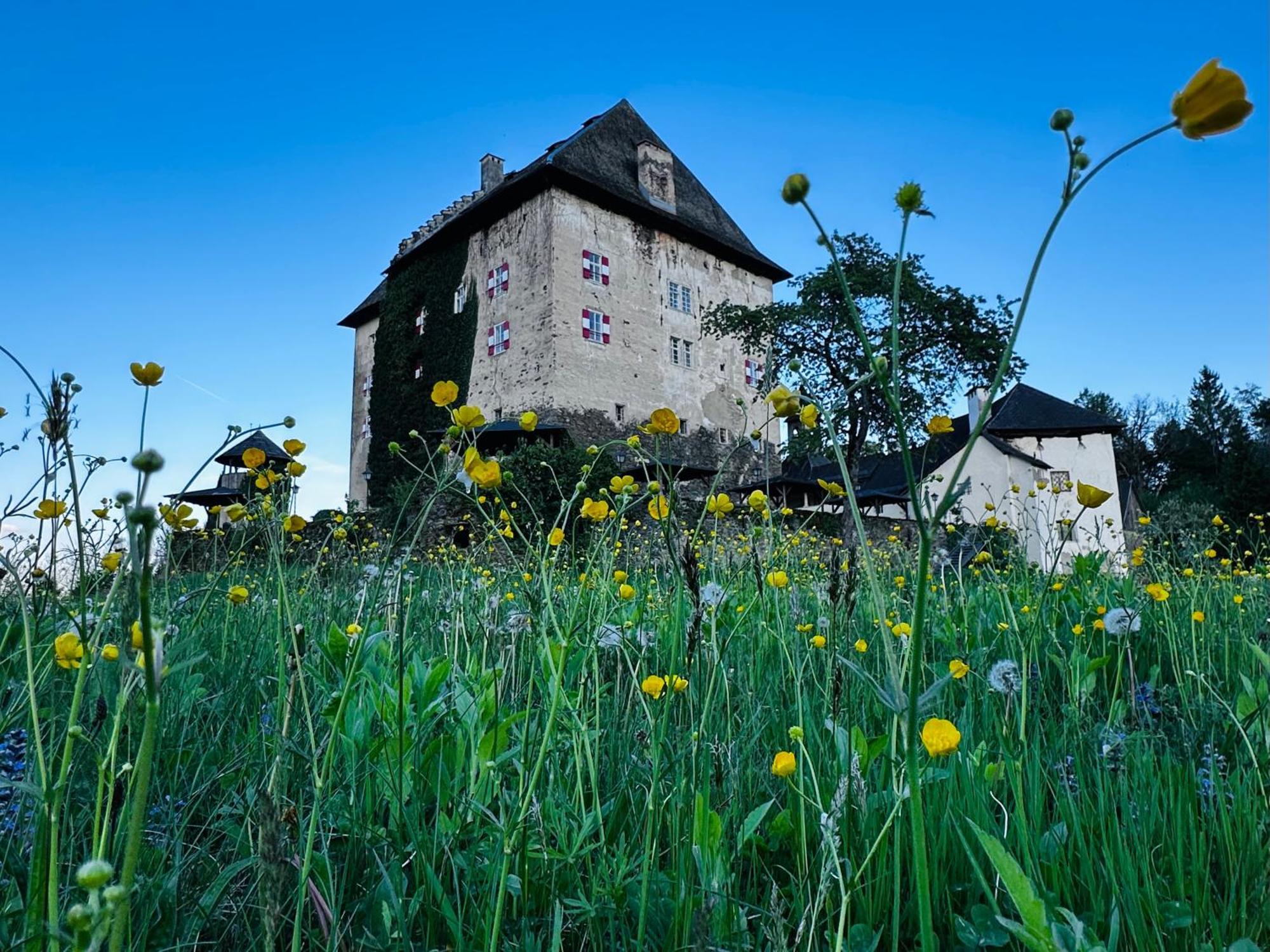 Schloss Moosburg Gaestehaus Esterno foto